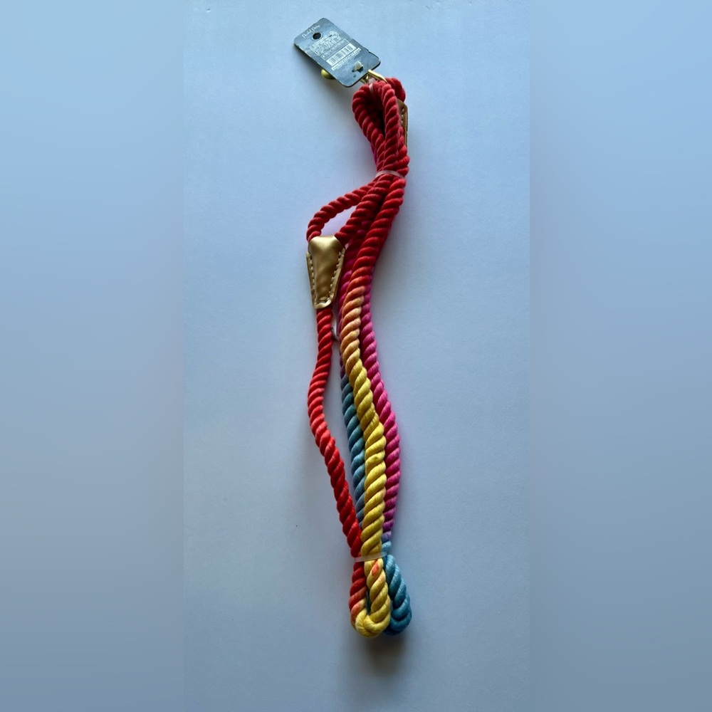 Packed Party Pet Leash with Gold Accent.  6ft long